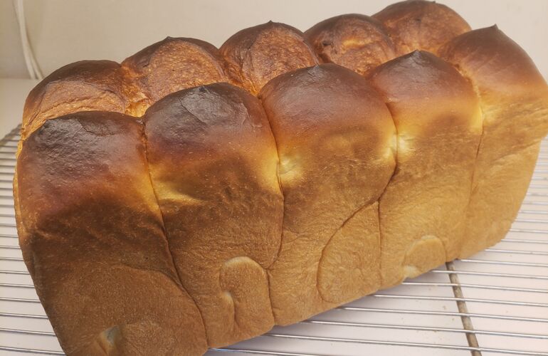 ホテル食パン